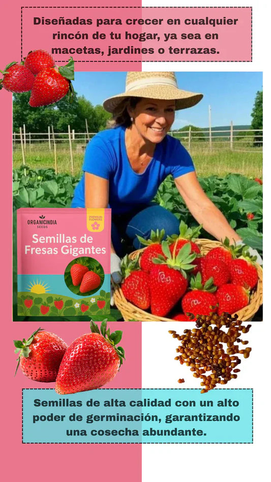 Organicidia®  Semillas Fresas Gigantes x100 Semillas-upsell